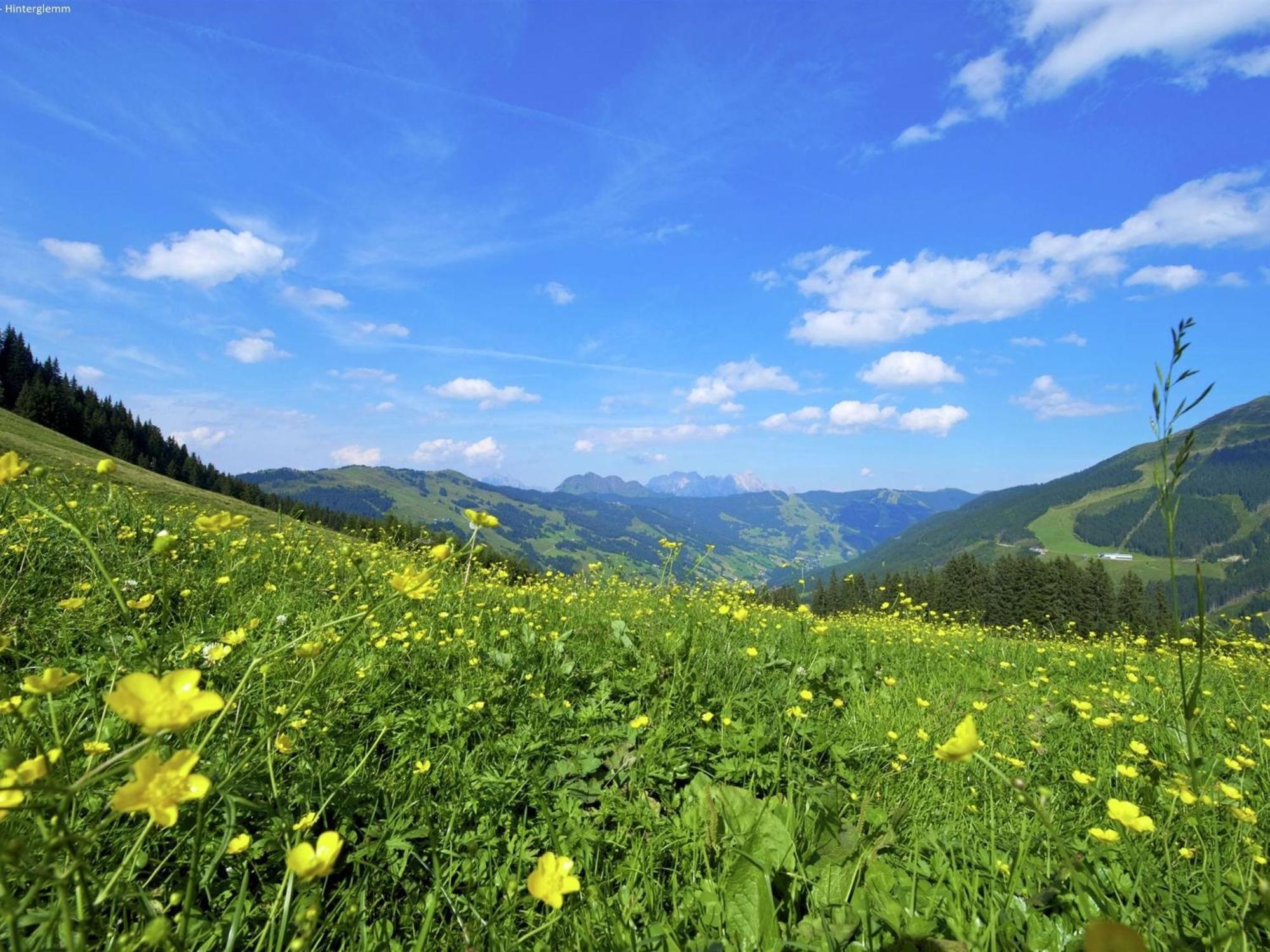 Large Chalet Apartment In Saalbach Hinterglemm Esterno foto